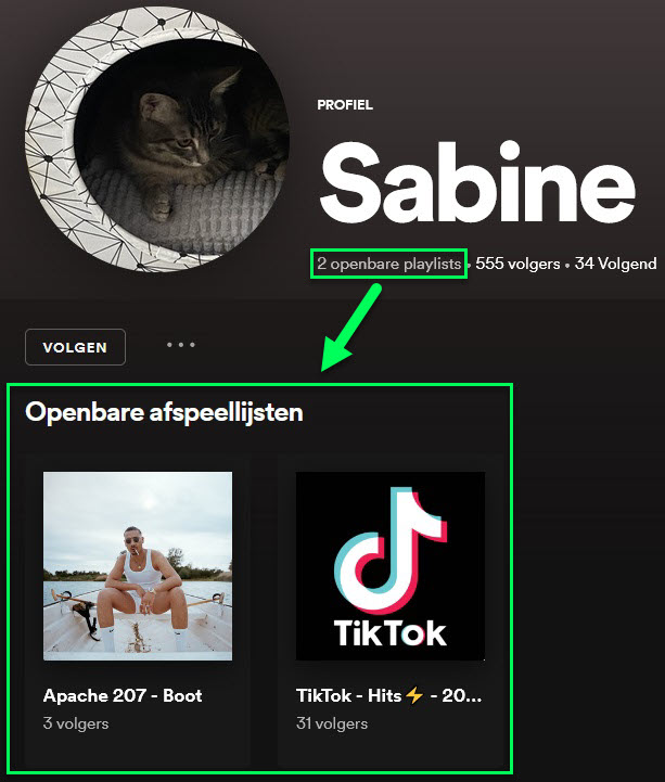 Spotify afspeellijsten