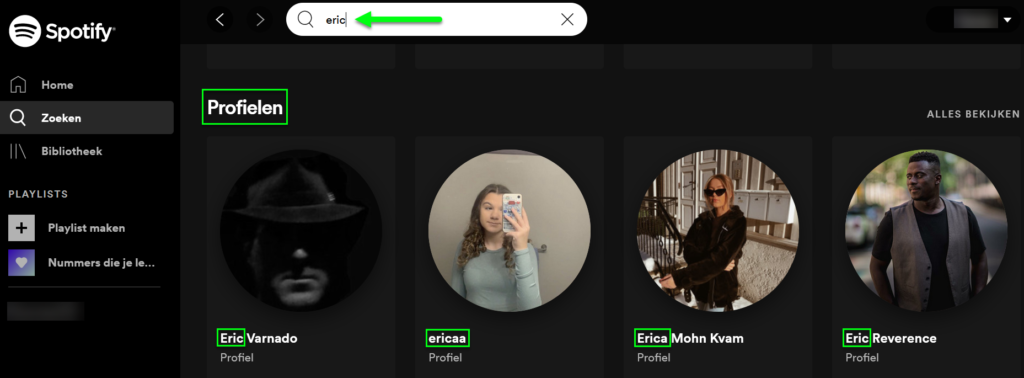 Spotify overzicht profielen