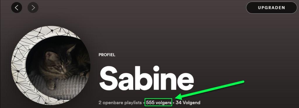 Spotify volgers